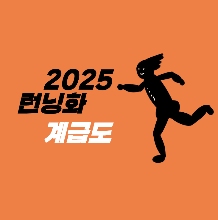 2025 런닝화 계급도