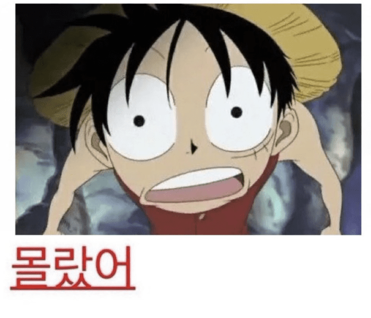 몰랐어짤 루피