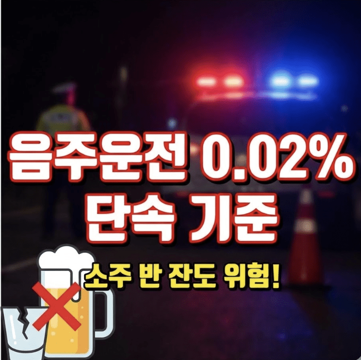 음주운전 0.02% 소주·맥주 몇 잔? 단속 기준과 처벌